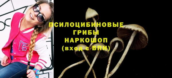 МДПВ Лагань