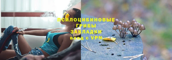 мдма Ладушкин