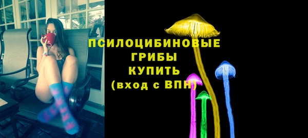 МДПВ Лагань