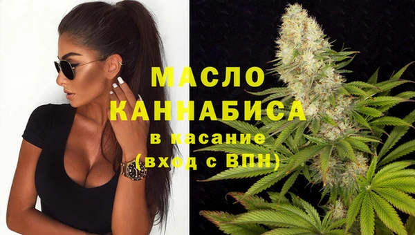 МДПВ Лагань