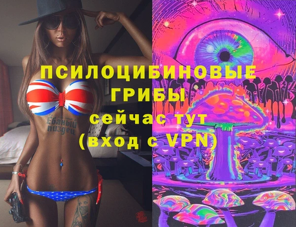 мдма Ладушкин
