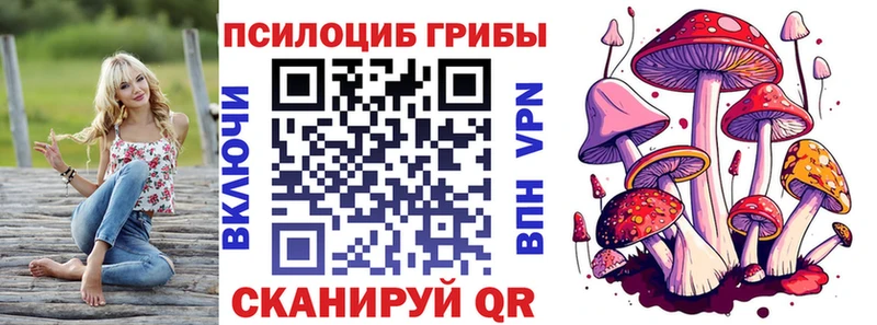 Псилоцибиновые грибы мухоморы  MEGA зеркало  Городище 